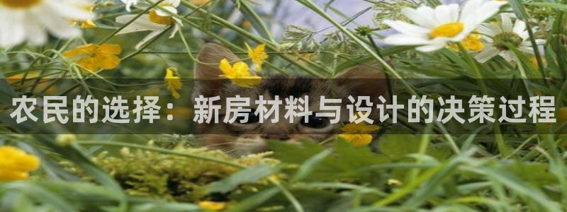 意昂体育3平台注册流程视频：农民的选择：新房材料与设计的决策过程