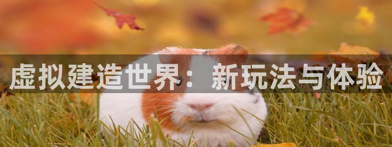 意昂体育3招商电话是多少啊：虚拟建造世界：新玩法与体验