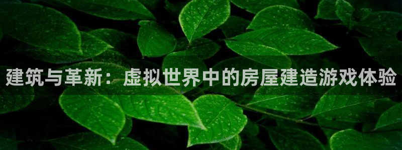意昂体育3官方客服电话：建筑与革新：虚拟世界中的房屋建造游戏体验