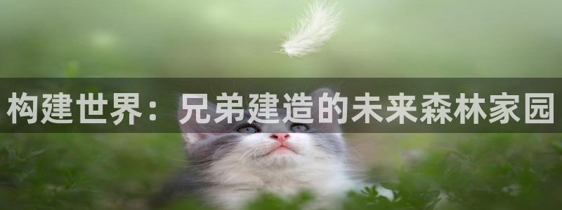 意昂3官网：构建世界：兄弟建造的未来森林家园