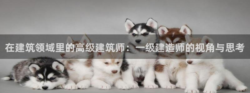 意昂体育3注册：在建筑领域里的高级建筑师：一级建造师的视角与思考