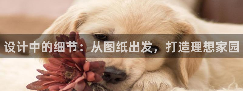 意昂体育3招商电话号码查询：设计中的细节：从图纸出发，打造理想家园