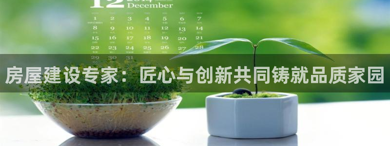意昂3娱乐：房屋建设专家：匠心与创新共同铸就品质家园