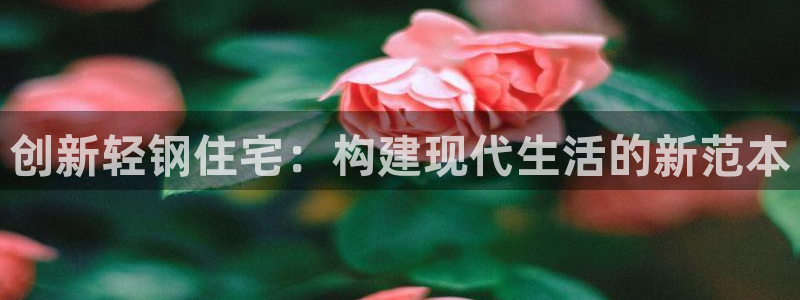 德国意昂3集团：创新轻钢住宅：构建现代生活的新范本