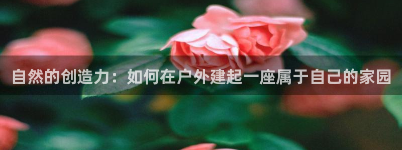 意昂3娱乐网站：自然的创造力：如何在户外建起一座属于自己的家园