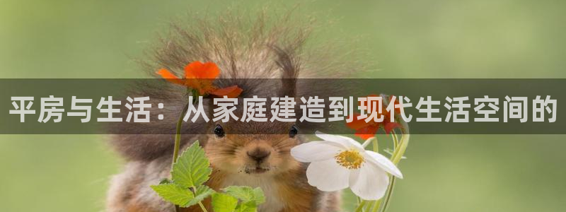 意昂体育3是干嘛的公司：平房与生活：从家庭建造到现代生活空间的