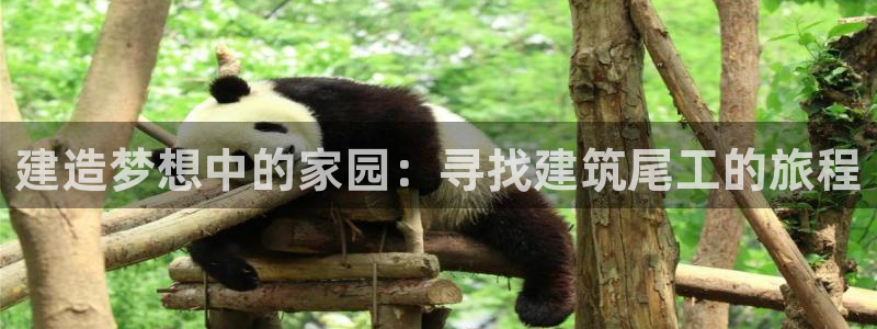 意昂体育3平台：建造梦想中的家园：寻找建筑尾工的旅程
